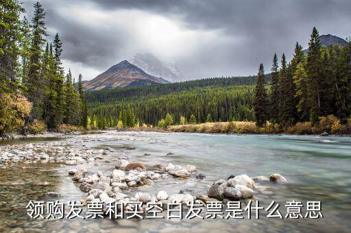 領(lǐng)取空白發(fā)票需要什么用，領(lǐng)用增值稅發(fā)票的時(shí)候內(nèi)開的空白發(fā)票要帶嗎