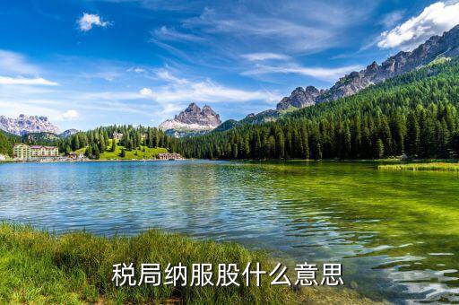 納稅服務(wù)的要求是什么意思，稅收征收管理與納稅服務(wù)是什么崗位