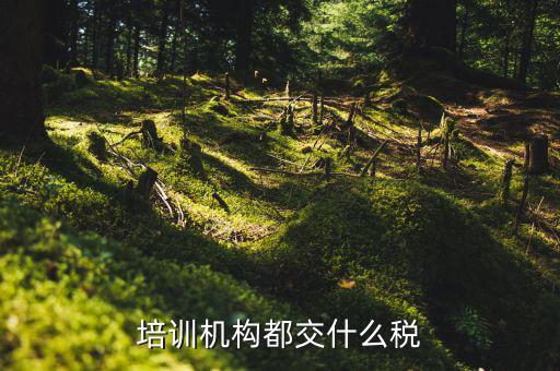 2017培訓(xùn)機(jī)構(gòu)交什么稅，培訓(xùn)機(jī)構(gòu)需要交稅的種類有多少