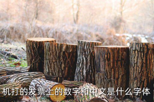 發(fā)票章中間數(shù)字是什么字體，機(jī)打的發(fā)票上的數(shù)字和中文是什么字體