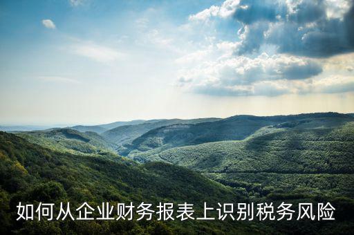 稅務(wù)風(fēng)險(xiǎn)核查是什么意思，虛開(kāi)增值稅專用發(fā)票核查 什么意思