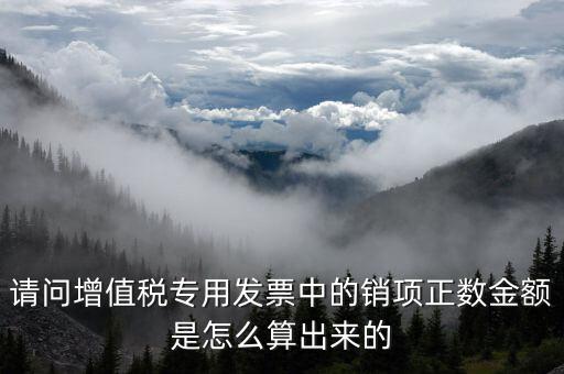 銷項正數(shù)金額是什么意思，銷項正數(shù)金額銷項負廢金額銷項負數(shù)金額是什么意