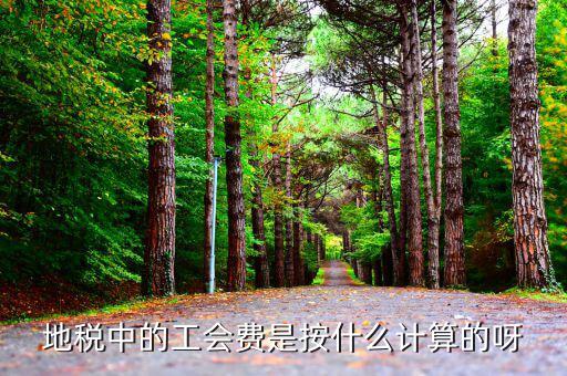 地稅按什么比例代收工會經(jīng)費，地稅中的工會費是按什么計算的呀