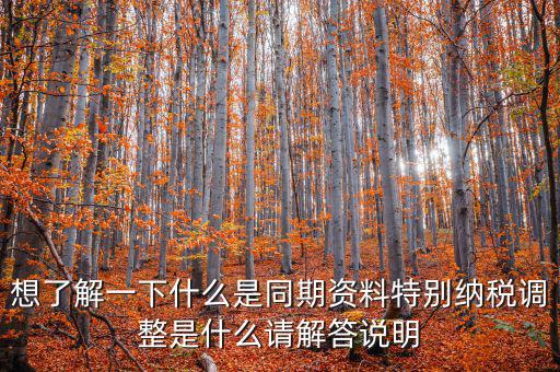 什么是特別納稅調(diào)整監(jiān)控管理階段，想了解一下什么是同期資料特別納稅調(diào)整是什么請解答說明
