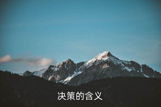 決策一包什么意思，決策的含義