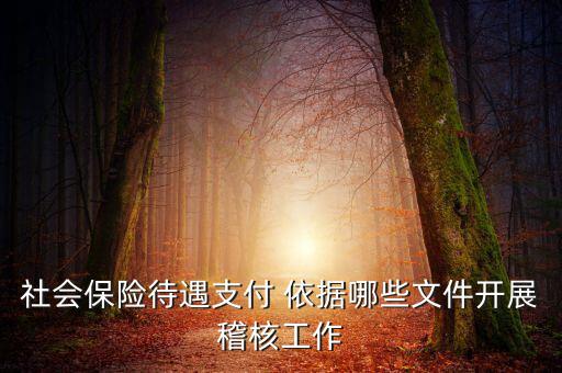 聯(lián)合稽查工作應(yīng)遵循什么，稅務(wù)稽查工作底稿必須包括哪些內(nèi)容