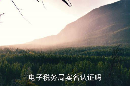 什么人使用電子稅務(wù)局，實名登錄電子稅局和稅號登錄報所得稅有什么區(qū)別
