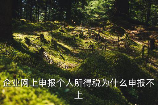 為什么稅務申報不了了，為什么申報不上