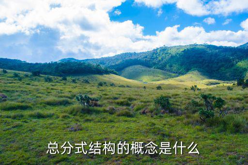 總分機構(gòu)標志是什么意思，總分機構(gòu)納稅人是什么意思