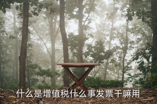什么是增值稅銷(xiāo)項(xiàng)發(fā)票嗎，什么是增值稅什么事發(fā)票干嘛用
