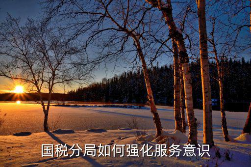 國稅服務(wù)理念是什么，幫忙提供一些稅務(wù)服務(wù)理念口號謝謝