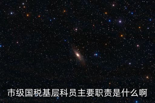 基層國(guó)稅辦公室做什么，請(qǐng)問(wèn)國(guó)稅局基層分局科員縣域主要負(fù)責(zé)什么工作