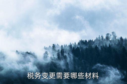 變更辦稅員要帶什么，財務(wù)負(fù)責(zé)人和辦稅員的變更需要辦理哪些手續(xù)