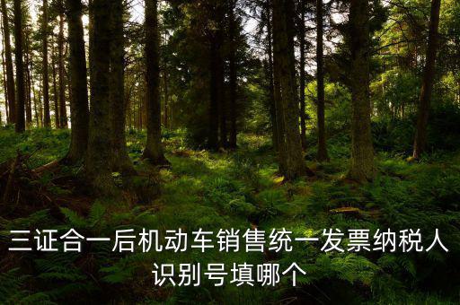 統(tǒng)一納稅識(shí)別號(hào)是什么，三證合一后機(jī)動(dòng)車銷售統(tǒng)一發(fā)票納稅人識(shí)別號(hào)填哪個(gè)