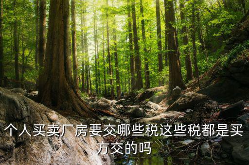 個(gè)人買(mǎi)賣(mài)廠房要交哪些稅這些稅都是買(mǎi)方交的嗎