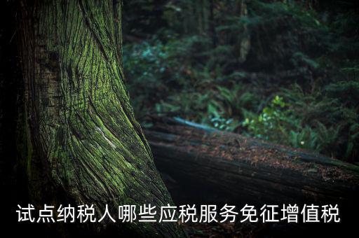 家政服務(wù)免增值稅什么業(yè)務(wù)免，家政服務(wù)企業(yè)的什么收入可以免征增值稅