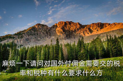 麻煩一下請(qǐng)問(wèn)對(duì)國(guó)外付傭金需要交的稅率和稅種有什么要求什么方