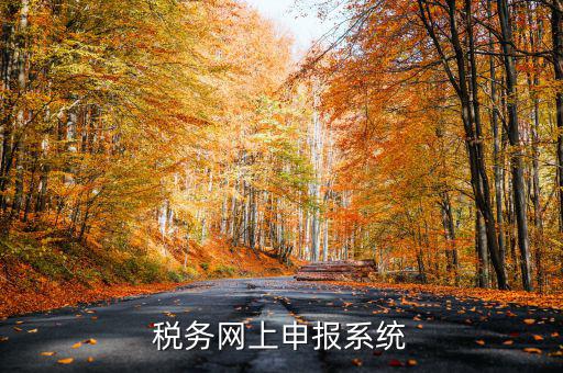 什么是稅收網(wǎng)報(bào)軟件，稅務(wù)網(wǎng)上申報(bào)系統(tǒng)