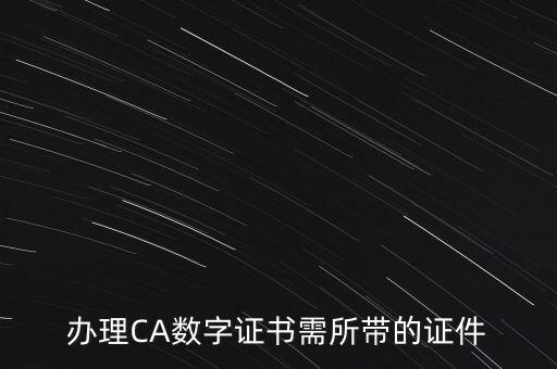 辦理CA數(shù)字證書(shū)需所帶的證件