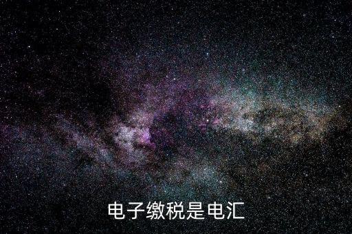 電子繳稅是什么，電子繳稅是電匯