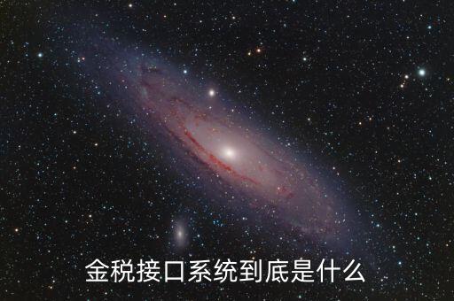 金稅售后是做什么的，鞍山金稅科技有限公司是干什么工作