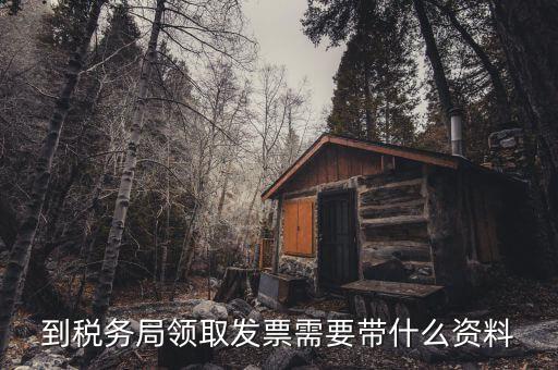 日常領(lǐng)購(gòu)發(fā)票需要帶什么，到稅務(wù)局領(lǐng)取發(fā)票需要帶什么資料