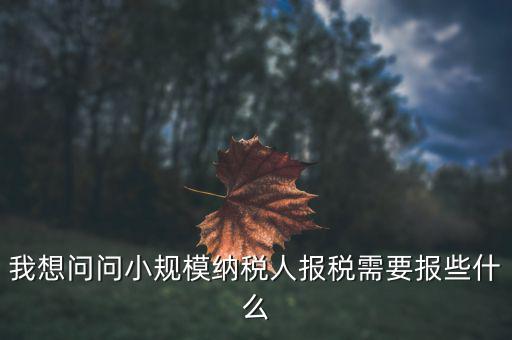 小規(guī)模國稅申報些什么，小規(guī)模納稅人國稅需要報什么資料