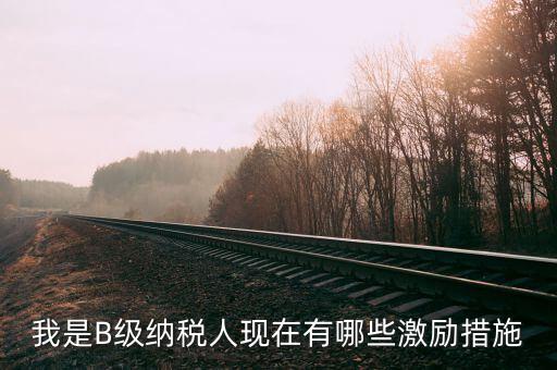 稅務(wù)信用等級b有什么用，企業(yè)納稅信用等級有何用處