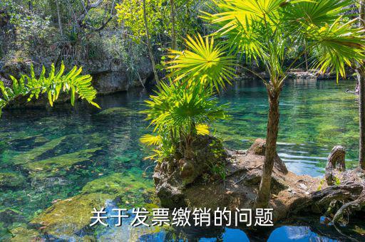 關(guān)于發(fā)票繳銷(xiāo)的問(wèn)題