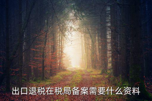 出口退稅備份什么格式，出口退稅單證備案