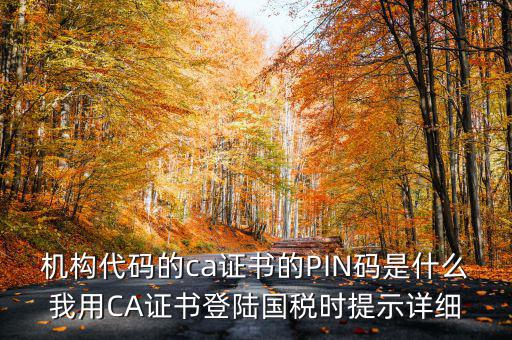 國稅ca證書登錄 密碼是什么，國稅第一次網(wǎng)上申報(bào)的登陸密碼是什么