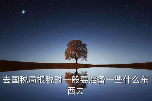去國稅局都是帶什么東西，去國稅定稅要帶哪些東西啊我暈倒了以前從來沒定過