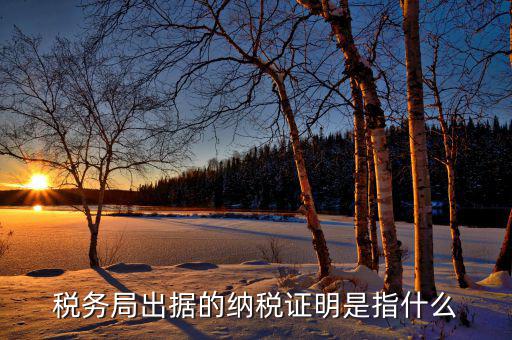 什么是稅收證明，什么是個(gè)人納稅證明