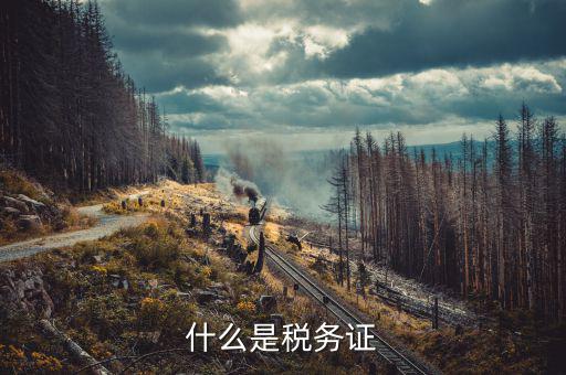 稅務(wù)證件失效 什么意思，什么是稅務(wù)證