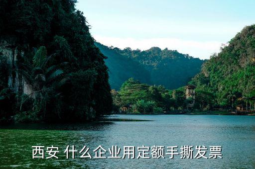 陜西省用什么定額發(fā)票，西安 什么企業(yè)用定額手撕發(fā)票