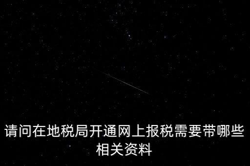 網(wǎng)上申報地稅需要什么，一般納稅人網(wǎng)上申報地稅上要報哪些稅