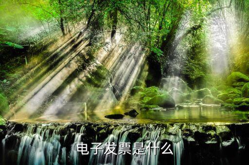 電子發(fā)票單位是什么樣的，什么叫電子發(fā)票