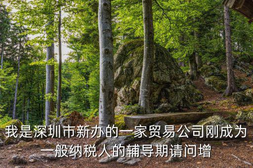 我是深圳市新辦的一家貿(mào)易公司剛成為一般納稅人的輔導期請問增