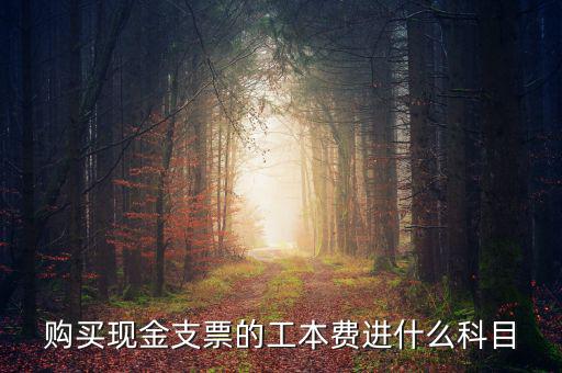 發(fā)票工本費(fèi)什么科，買支票的工本費(fèi)和手續(xù)費(fèi)分別進(jìn)什么科目