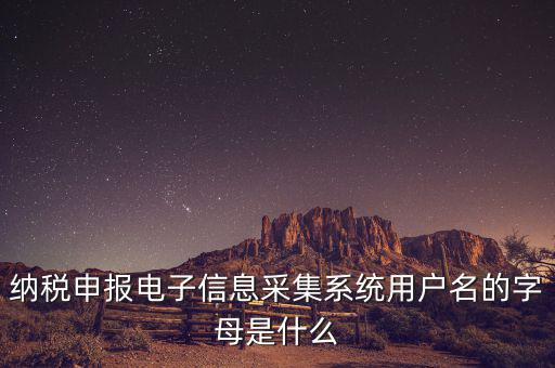 納稅人用戶編號(hào)是什么，地稅的用戶名是什么