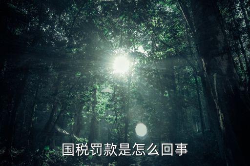 稅務(wù)局行為罰款是什么意思，國稅罰款是怎么回事