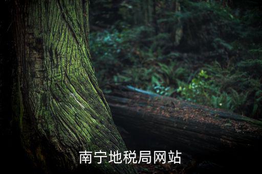 南寧地稅局網站