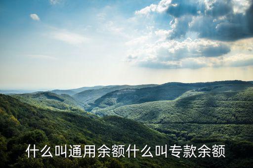 通用余額 專用余額是什么意思，專用余額啥意思