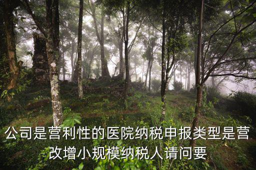 營改增醫(yī)院用什么發(fā)票，營改增認(rèn)定的一般納稅人使用什么發(fā)票