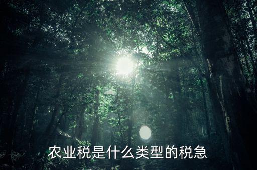 農(nóng)業(yè)稅屬于什么稅種，農(nóng)業(yè)稅就是人口稅嗎