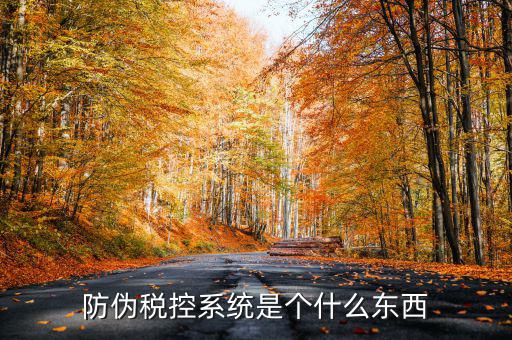 防偽稅控一體化什么時候，營改增后漢字防偽企業(yè)抄報稅時需要使用什么設(shè)備