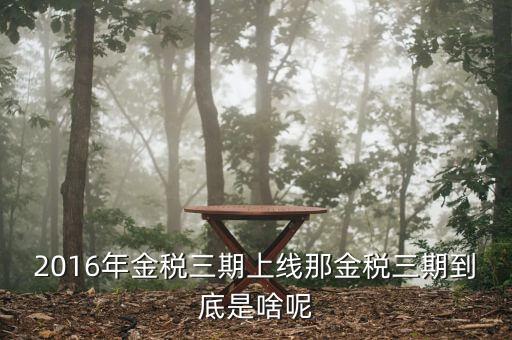 金稅三期具體什么意思，金稅三期是什么意思