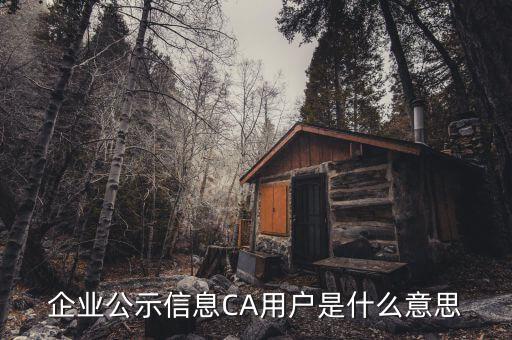 納稅人ca用戶是什么意思，什么是CA用戶啊
