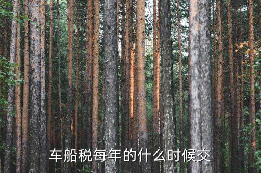 車船稅從什么時(shí)間交，車船稅什么時(shí)候交比如要交2017年的是2016年12月31日前交還是