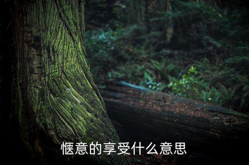 應(yīng)享盡享什么意思，愜意的享受什么意思
